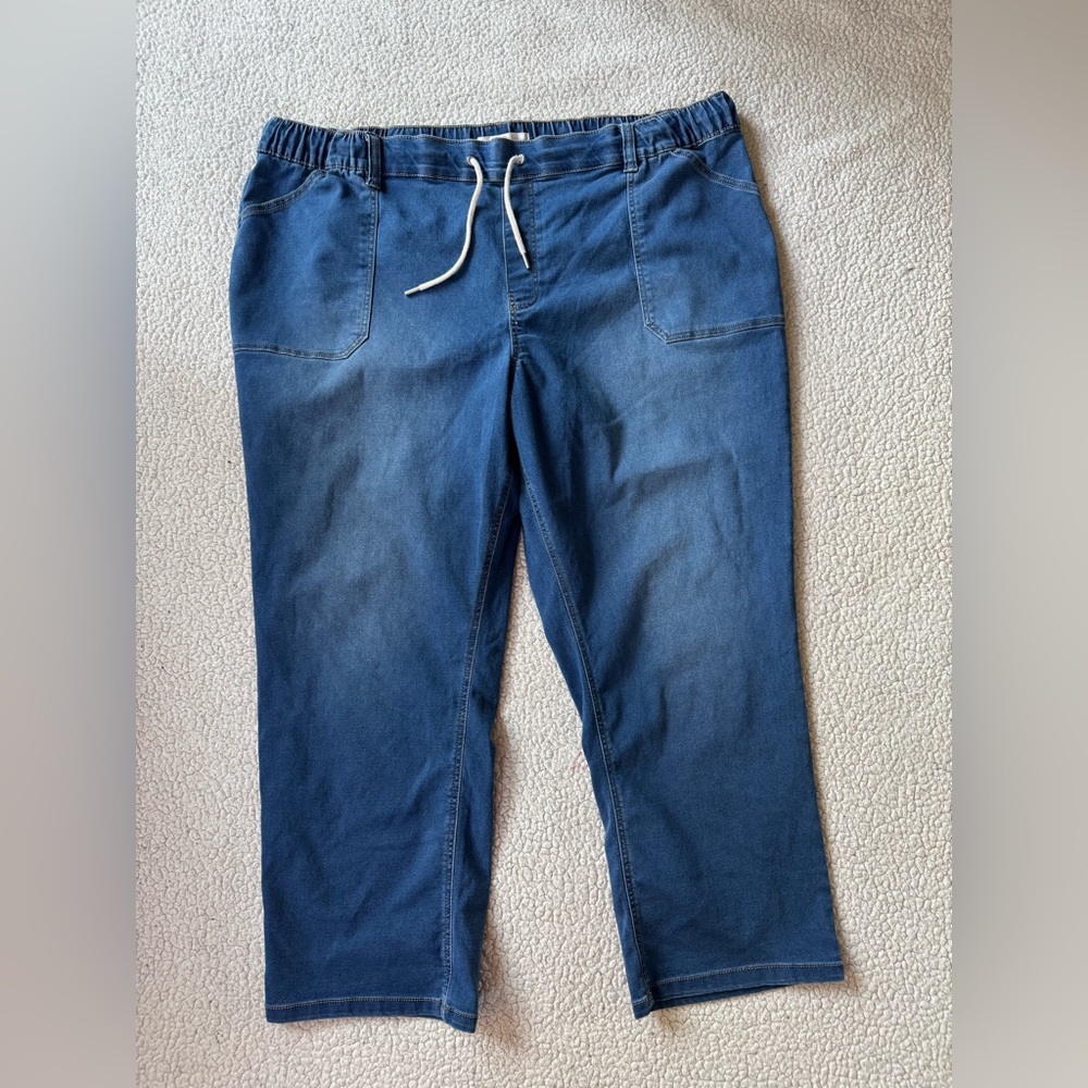26W Cato Women's High Rise Blue Jeans